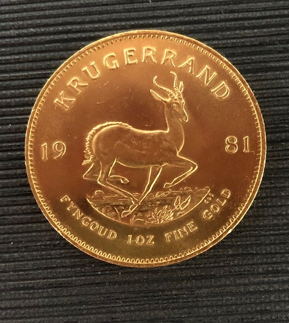 1981 Krugger 1
