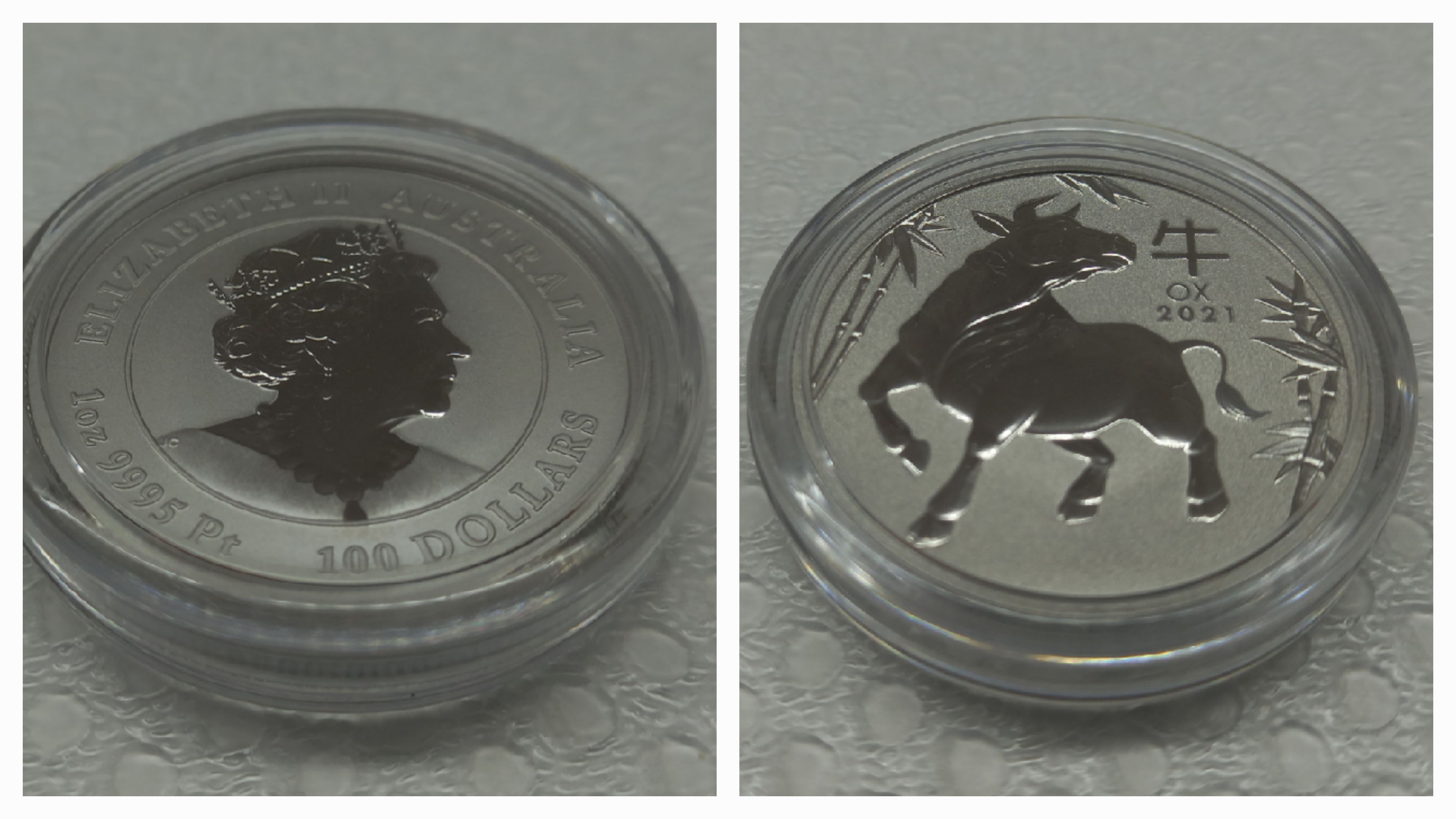 1oz Platinum Coin - Ox