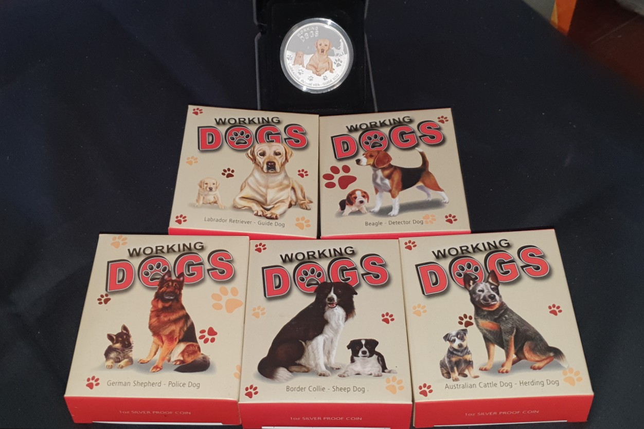 20200112_122608_crop_5