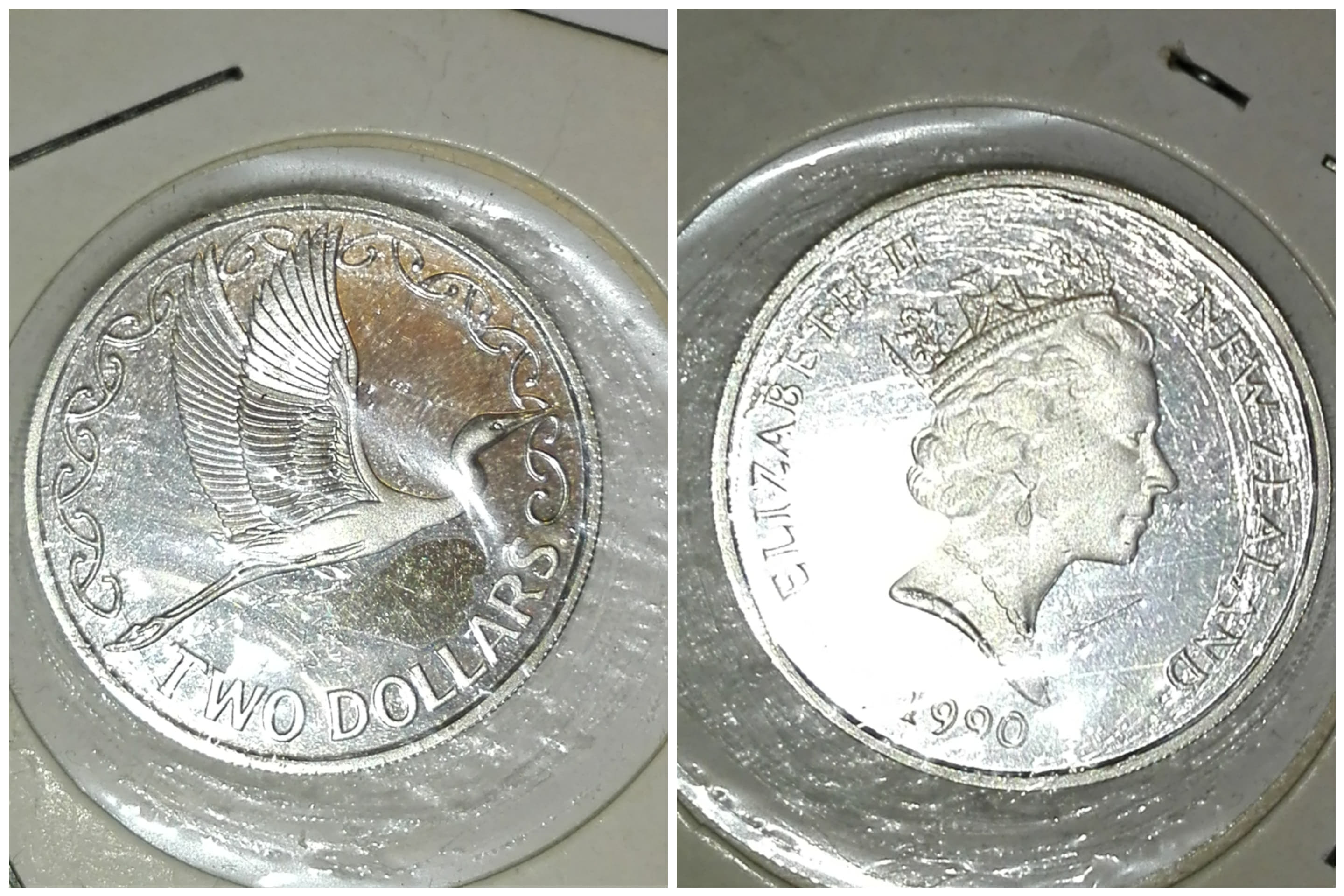 81625917_454102575494551_7522216236294340608_n