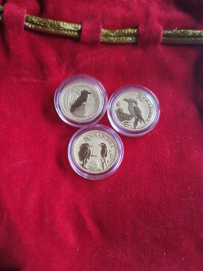 IMG_20241028_175827s