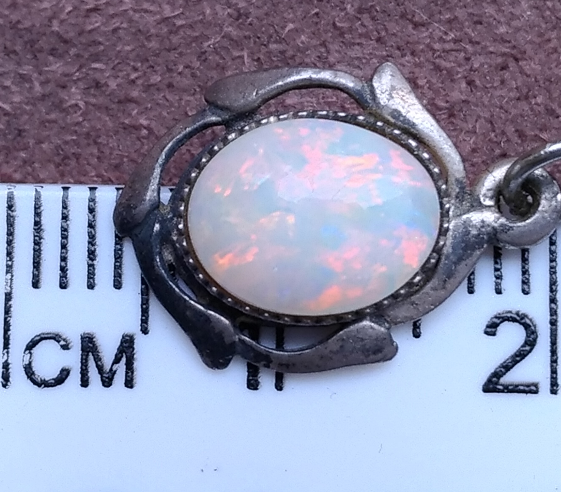 P_20170209_123632_vHDR_Auto