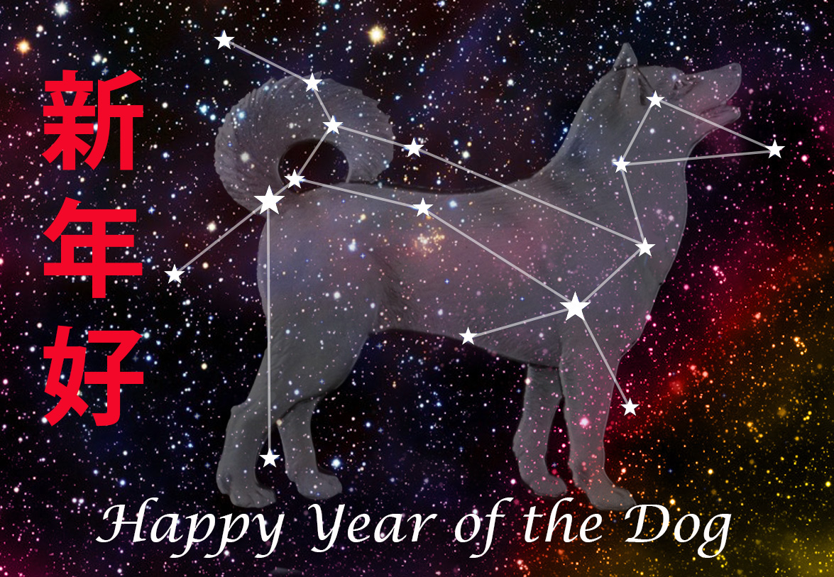 2018-newyear-dog.jpg