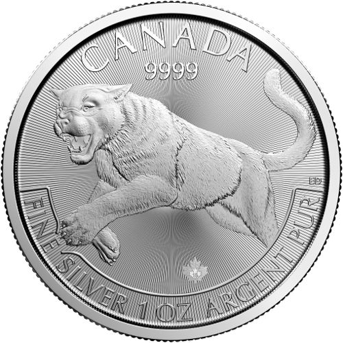 2016-silver-canadian-cougar-render-rev.jpg