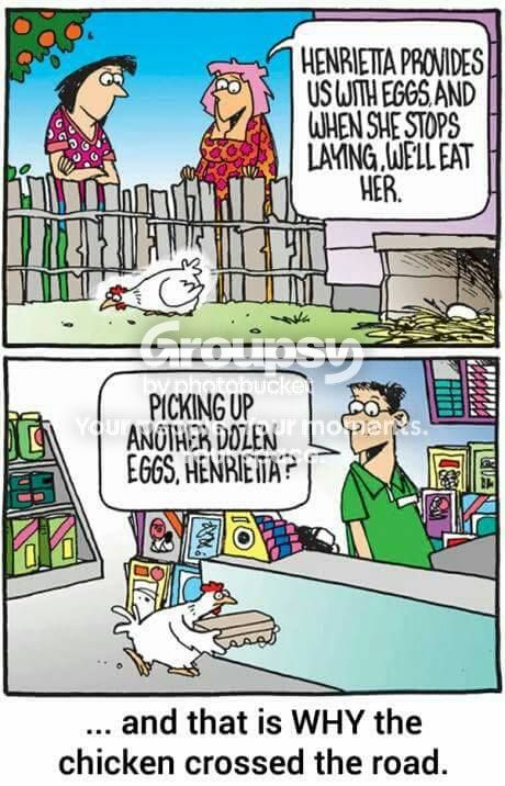chicken_zps85b5ff7a.jpg~original