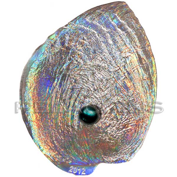 26083_Abalone-Haliotis_iris_rn.jpg