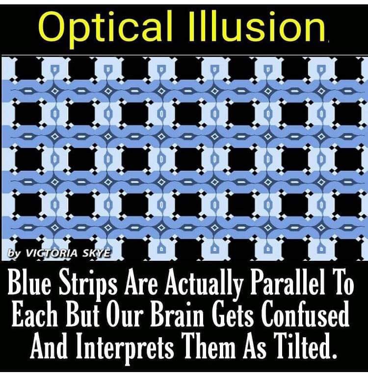 main-qimg-d876654c256880483693862ae035d9c0
