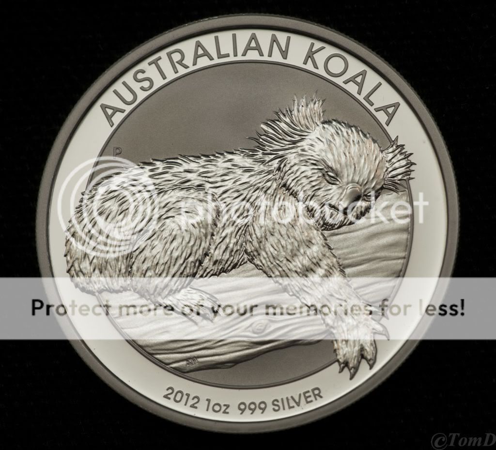 2012Koala2-1.jpg