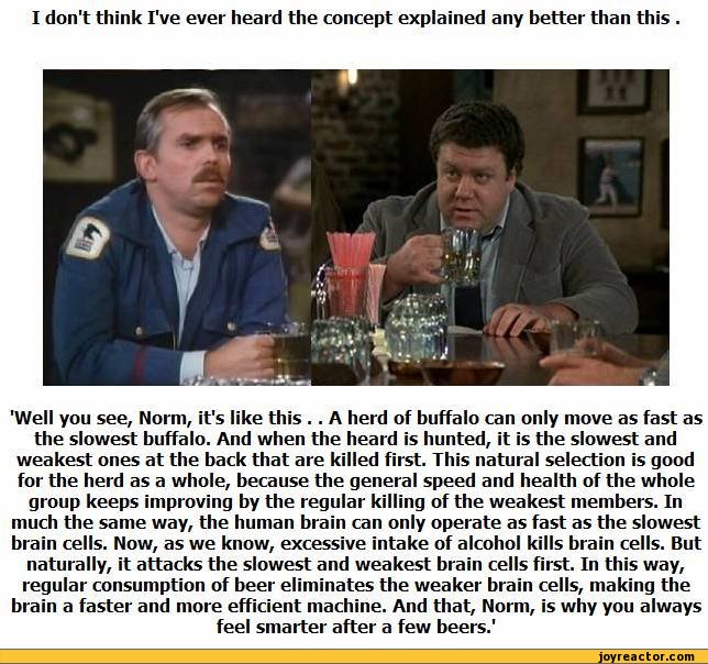 funny-pictures-auto-388633.jpeg