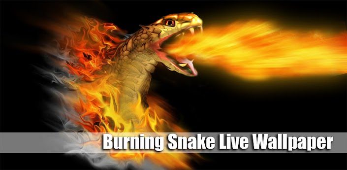 P9BRNbCL85RavtKZp3R97V81Ze5gNBJcX08FEHSeweiBi4jWK-qpcbJZaZP7H1djkRQ=w705