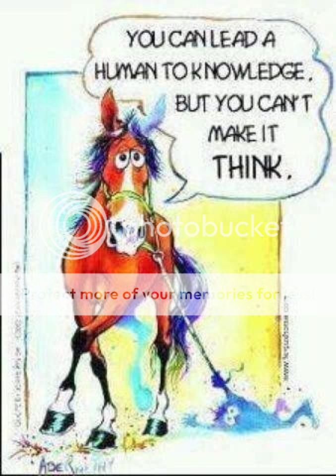 lead_human_zps7b9d2f5e.jpg~original