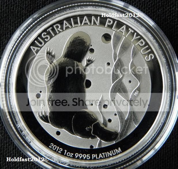 2012PlatinumPlatypusSS_zps28992046.jpg