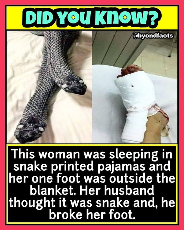 main-qimg-2160fbdd68aa5e735198f90d2317b908