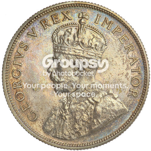 1923SAProofFlorinObverse_zpsce37f52c.png