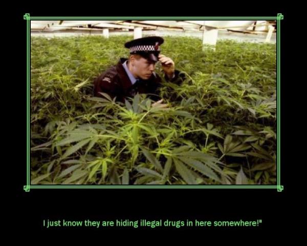 dumbcop.jpg