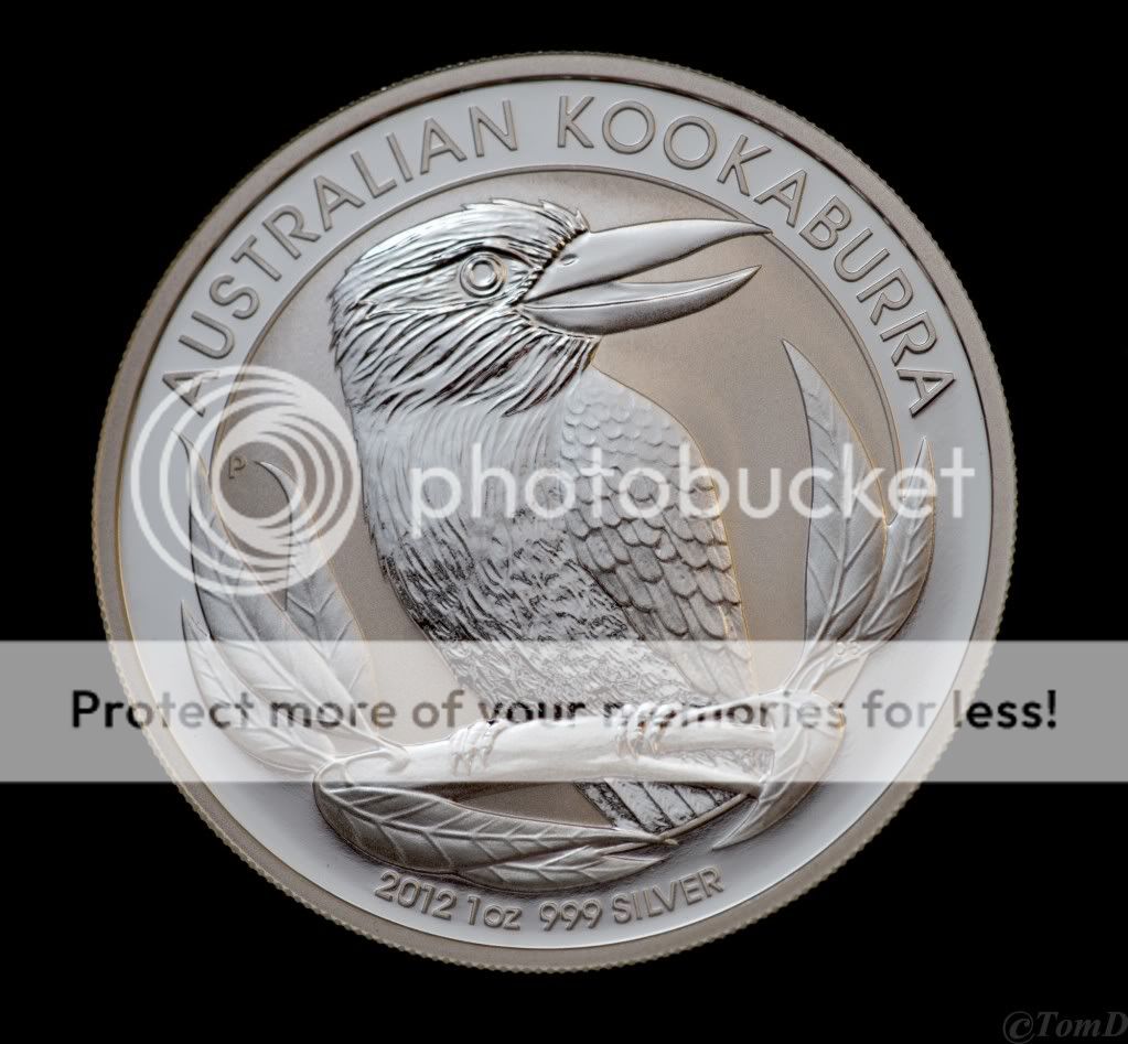 2012Kookaburra.jpg